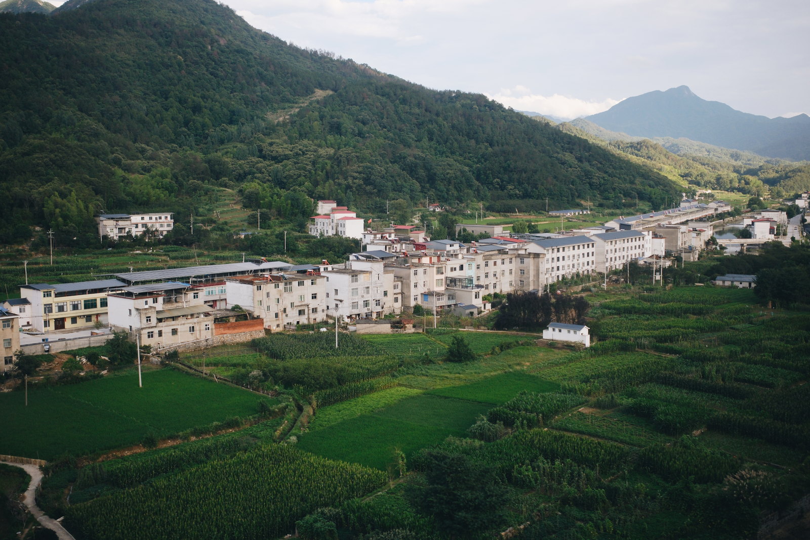 群山与茶园之间的村落