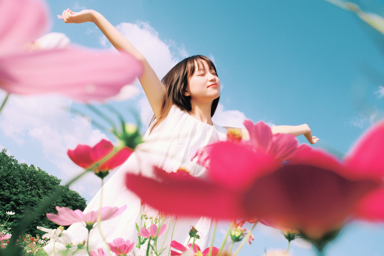 白色裙装的女子在粉色花海中张开双臂