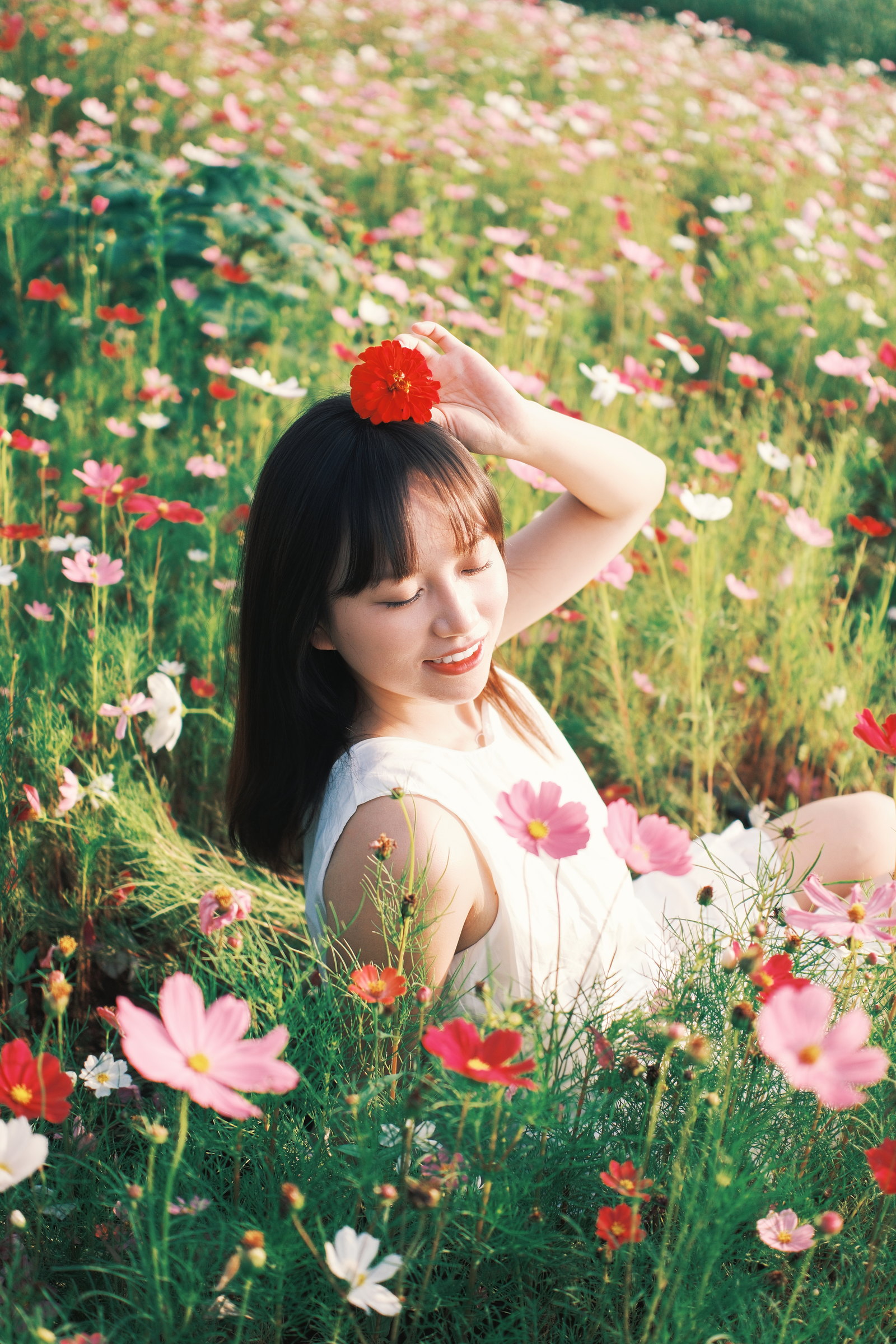 女子坐在花田中把红花放在头顶